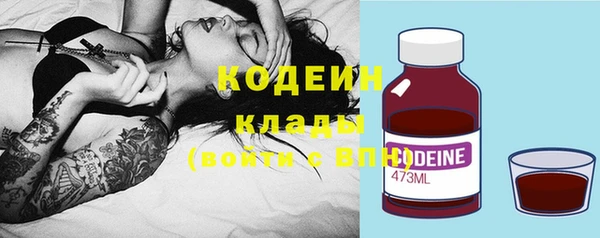 хмурый Пересвет