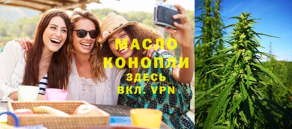 хмурый Пересвет
