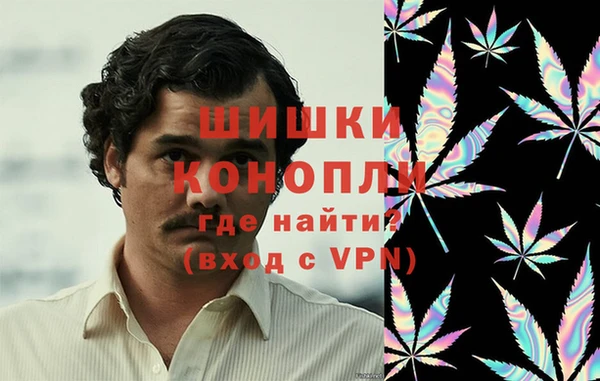 хмурый Пересвет